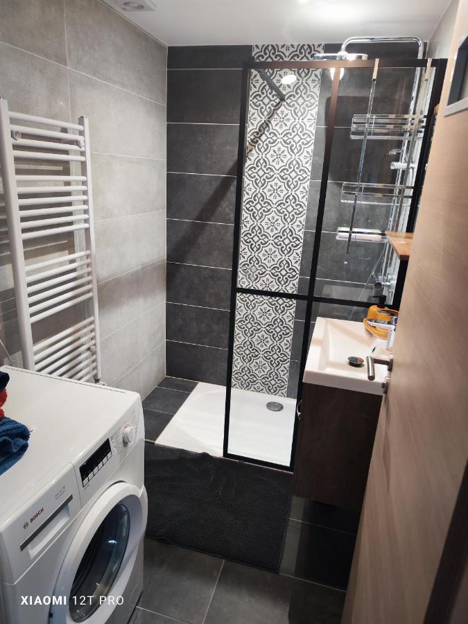 Appartement Renovee Dans Maison Ancienne Amancy Экстерьер фото
